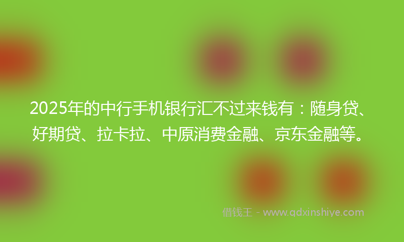 2025年的中行手机银行汇不过来钱有：随身贷、好期贷、拉卡拉、中原消费金融、京东金融等。