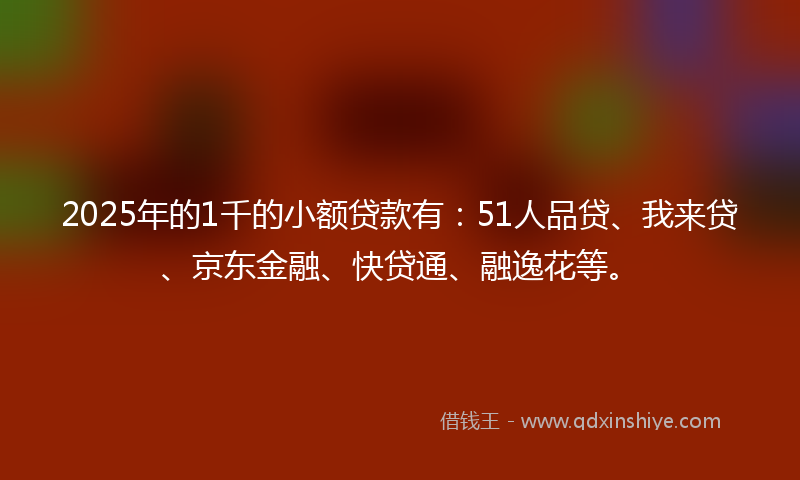 2025年的1千的小额贷款有：51人品贷、我来贷、京东金融、快贷通、融逸花等。