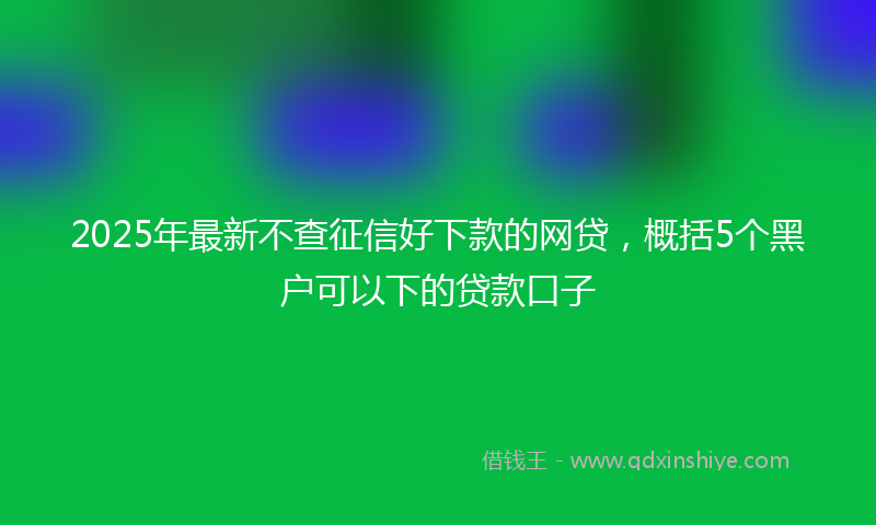 2025年最新不查征信好下款的网贷，概括5个黑户可以下的贷款口子