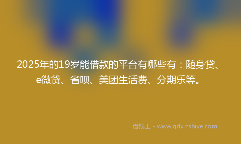 2025年的19岁能借款的平台有哪些有：随身贷、e微贷、省呗、美团生活费、分期乐等。