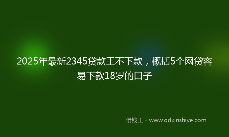 2025年最新2345贷款王不下款，概括5个网贷容易下款18岁的口子