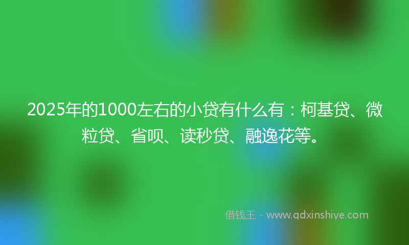 2025年的1000左右的小贷有什么有：柯基贷、微粒贷、省呗、读秒贷、融逸花等。