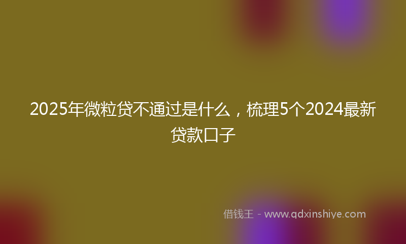2025年微粒贷不通过是什么，梳理5个2024最新贷款口子