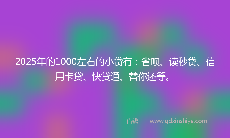 2025年的1000左右的小贷有：省呗、读秒贷、信用卡贷、快贷通、替你还等。