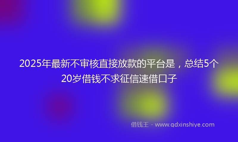 2025年最新不审核直接放款的平台是，总结5个20岁借钱不求征信速借口子