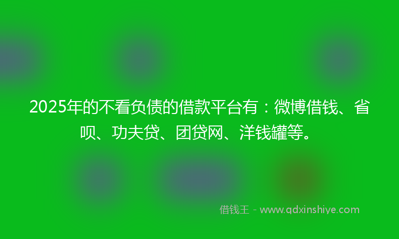 2025年的不看负债的借款平台有：微博借钱、省呗、功夫贷、团贷网、洋钱罐等。