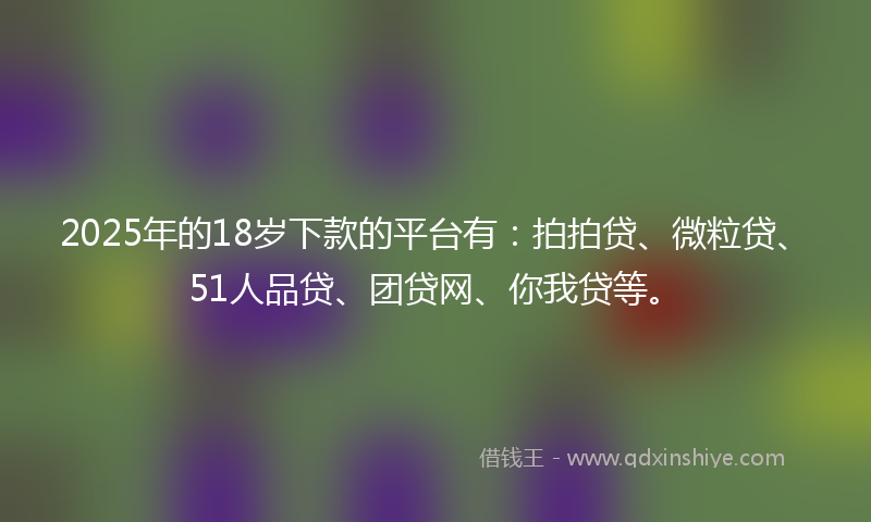 2025年的18岁下款的平台有：拍拍贷、微粒贷、51人品贷、团贷网、你我贷等。