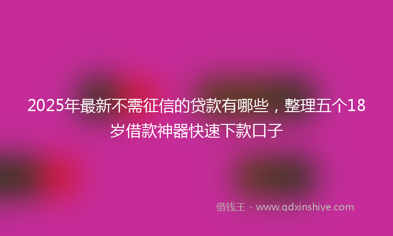 2025年最新不需征信的贷款有哪些，整理五个18岁借款神器快速下款口子
