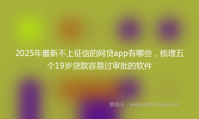 2025年最新不上征信的网贷app有哪些，梳理五个19岁贷款容易过审批的软件