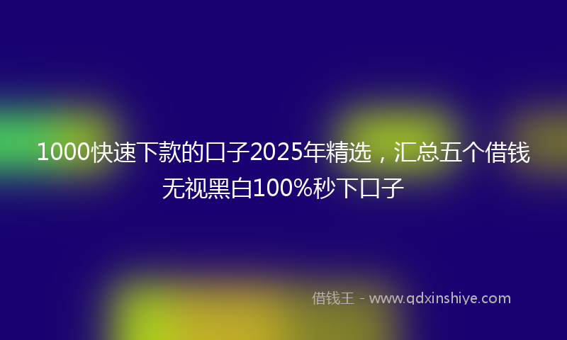 1000快速下款的口子2025年精选，汇总五个借钱无视黑白100%秒下口子