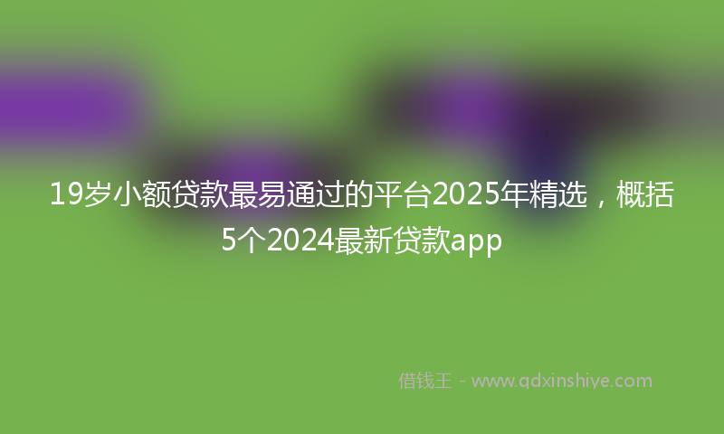 19岁小额贷款最易通过的平台2025年精选，概括5个2024最新贷款app