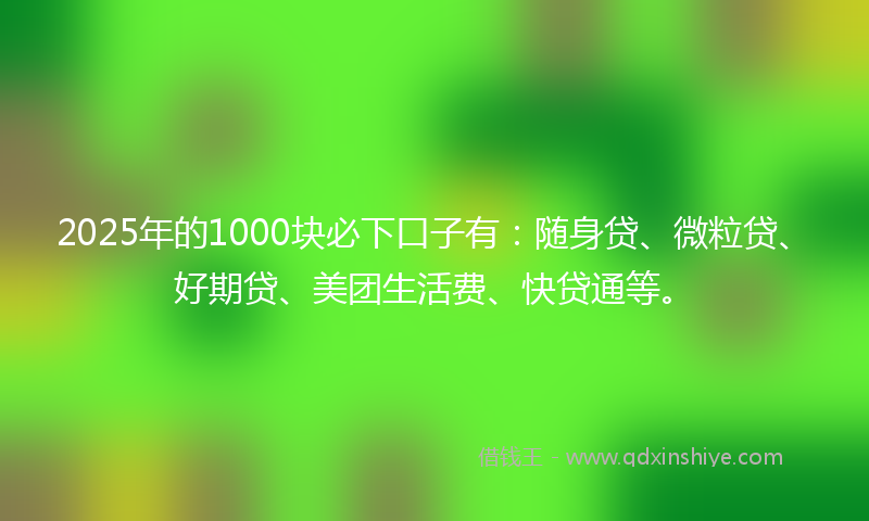 2025年的1000块必下口子有：随身贷、微粒贷、好期贷、美团生活费、快贷通等。