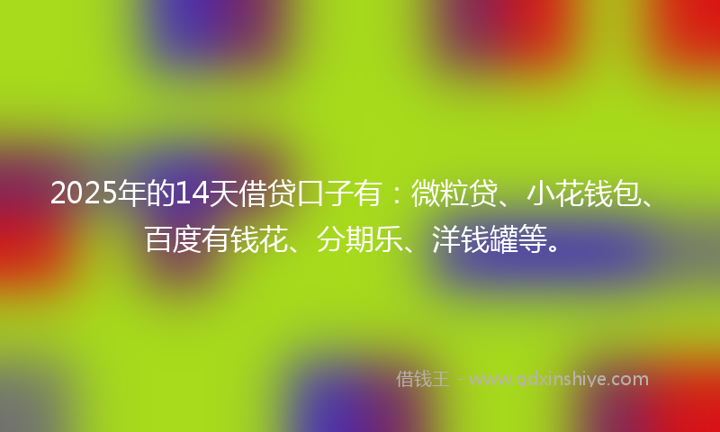 2025年的14天借贷口子有：微粒贷、小花钱包、百度有钱花、分期乐、洋钱罐等。