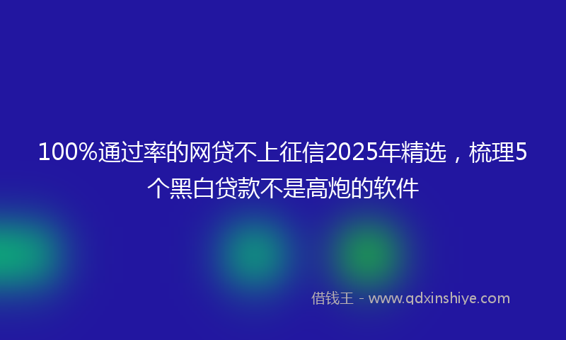 100%通过率的网贷不上征信2025年精选，梳理5个黑白贷款不是高炮的软件