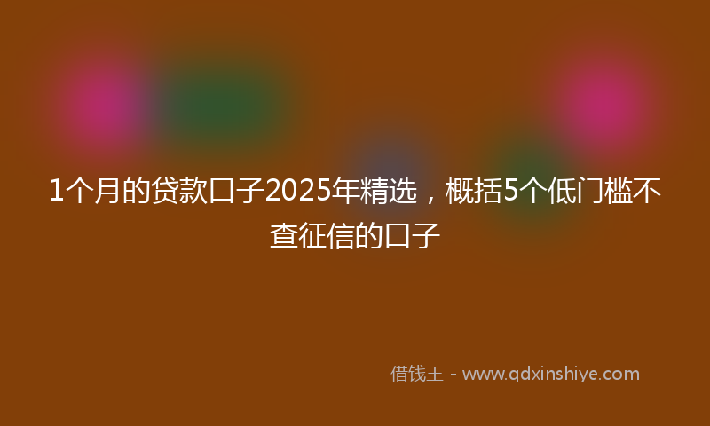 1个月的贷款口子2025年精选，概括5个低门槛不查征信的口子