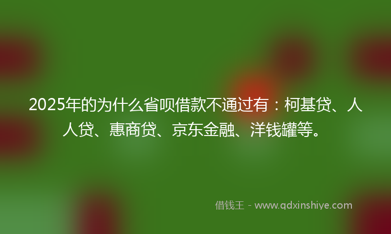 2025年的为什么省呗借款不通过有：柯基贷、人人贷、惠商贷、京东金融、洋钱罐等。