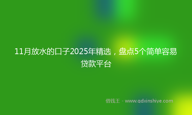 11月放水的口子2025年精选，盘点5个简单容易贷款平台