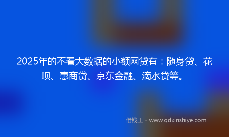2025年的不看大数据的小额网贷有：随身贷、花呗、惠商贷、京东金融、滴水贷等。