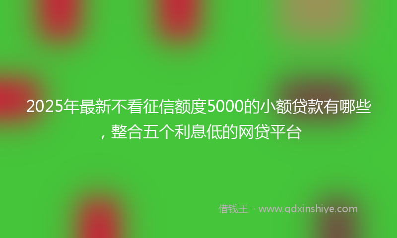 2025年最新不看征信额度5000的小额贷款有哪些，整合五个利息低的网贷平台