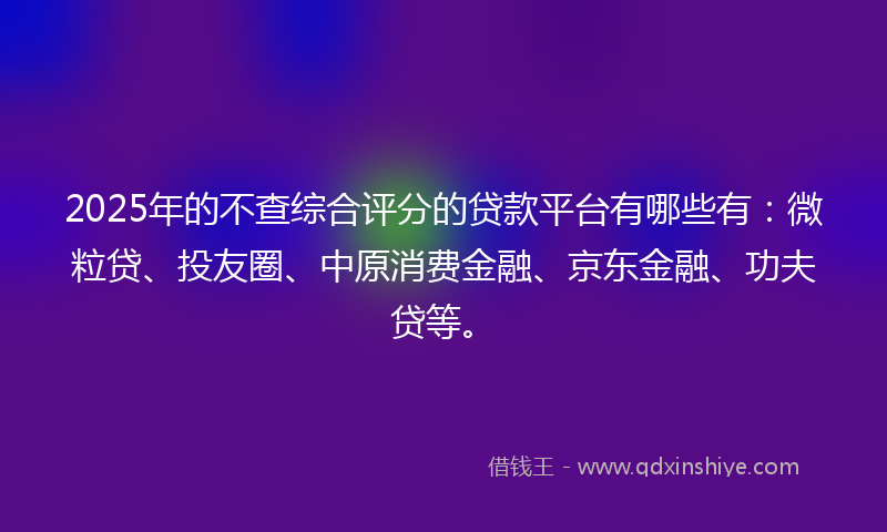 2025年的不查综合评分的贷款平台有哪些有：微粒贷、投友圈、中原消费金融、京东金融、功夫贷等。