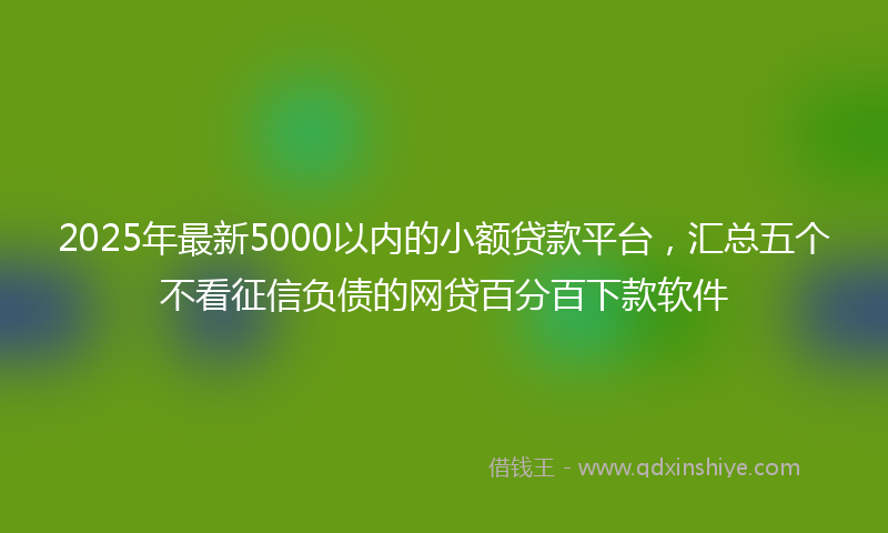 2025年最新5000以内的小额贷款平台，汇总五个不看征信负债的网贷百分百下款软件