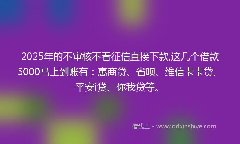 2025年的不审核不看征信直接下款,这几个借款5000马上到账有：惠商贷、省呗、维信卡卡贷、平安i贷、你我贷等。