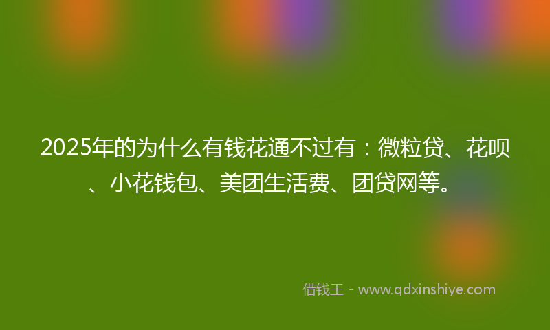 2025年的为什么有钱花通不过有：微粒贷、花呗、小花钱包、美团生活费、团贷网等。