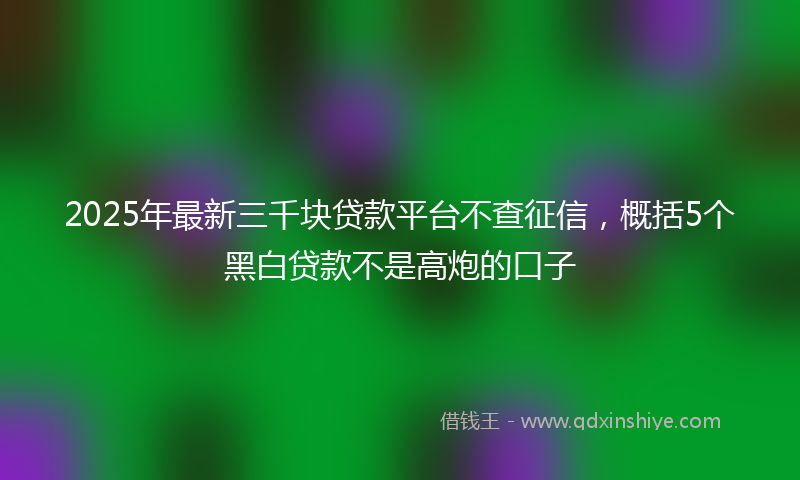 2025年最新三千块贷款平台不查征信，概括5个黑白贷款不是高炮的口子