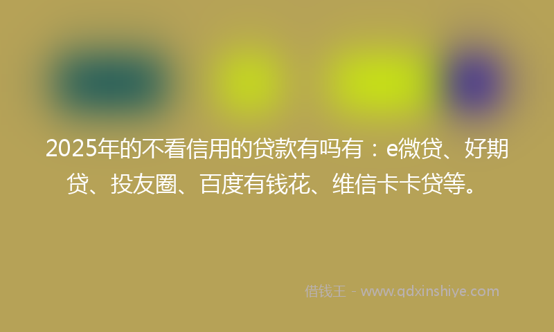 2025年的不看信用的贷款有吗有：e微贷、好期贷、投友圈、百度有钱花、维信卡卡贷等。