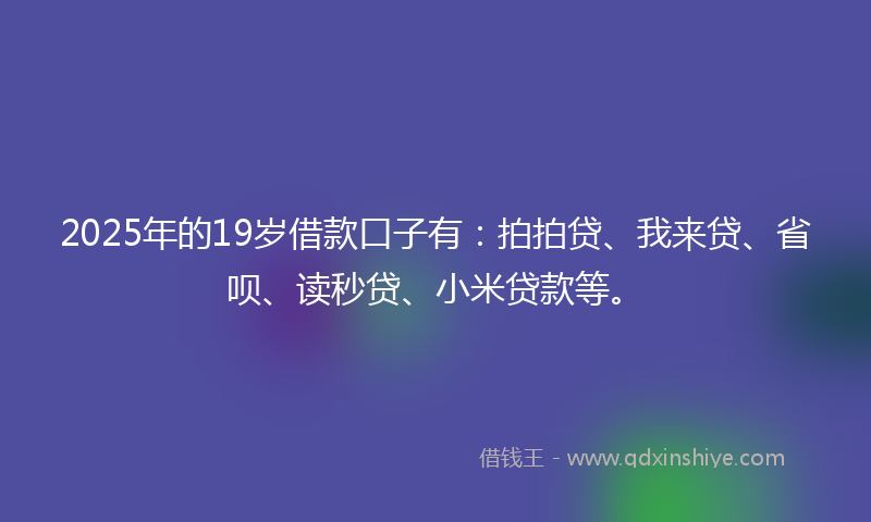 2025年的19岁借款口子有：拍拍贷、我来贷、省呗、读秒贷、小米贷款等。