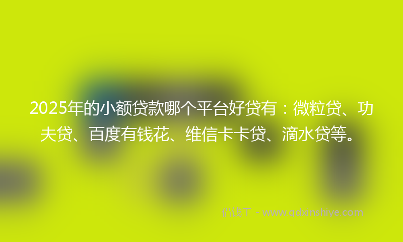 2025年的小额贷款哪个平台好贷有：微粒贷、功夫贷、百度有钱花、维信卡卡贷、滴水贷等。