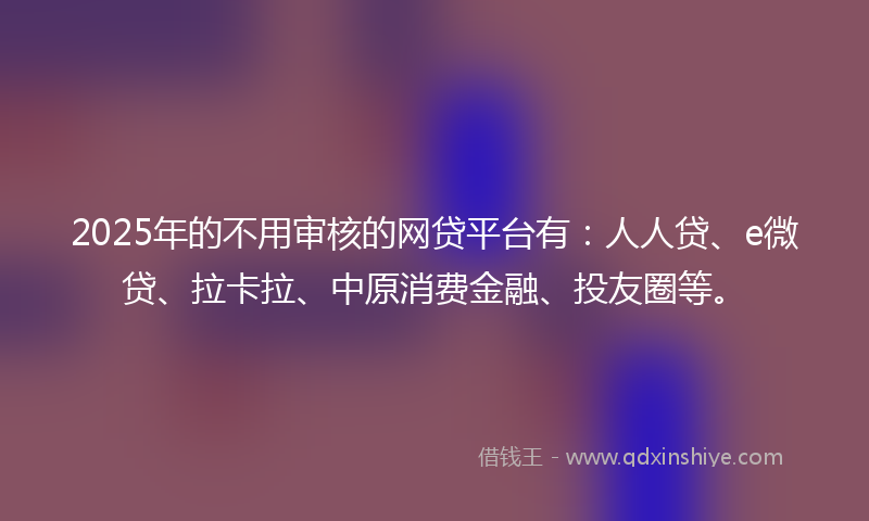 2025年的不用审核的网贷平台有：人人贷、e微贷、拉卡拉、中原消费金融、投友圈等。