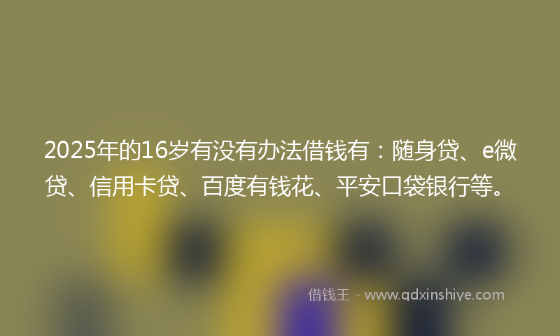 2025年的16岁有没有办法借钱有：随身贷、e微贷、信用卡贷、百度有钱花、平安口袋银行等。