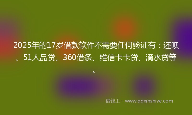 2025年的17岁借款软件不需要任何验证有：还呗、51人品贷、360借条、维信卡卡贷、滴水贷等。