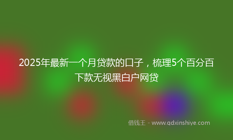 2025年最新一个月贷款的口子，梳理5个百分百下款无视黑白户网贷