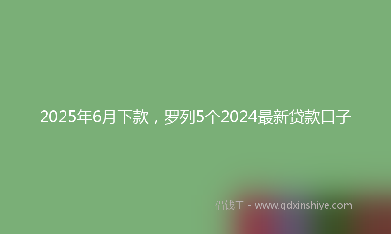 2025年6月下款，罗列5个2024最新贷款口子