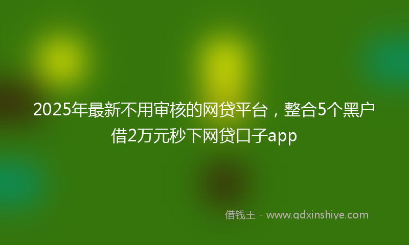 2025年最新不用审核的网贷平台，整合5个黑户借2万元秒下网贷口子app