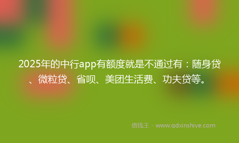 2025年的中行app有额度就是不通过有：随身贷、微粒贷、省呗、美团生活费、功夫贷等。