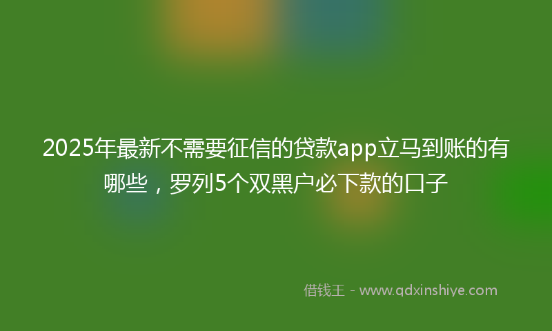 2025年最新不需要征信的贷款app立马到账的有哪些，罗列5个双黑户必下款的口子