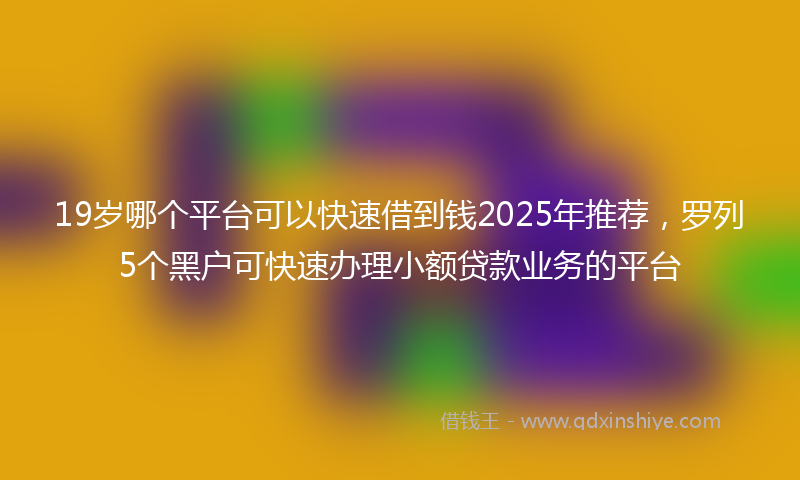19岁哪个平台可以快速借到钱2025年推荐，罗列5个黑户可快速办理小额贷款业务的平台