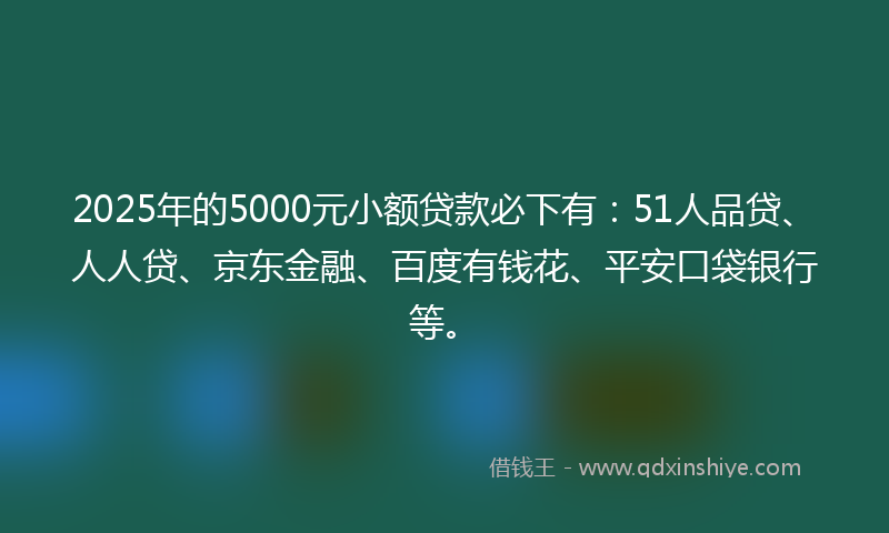 2025年的5000元小额贷款必下有：51人品贷、人人贷、京东金融、百度有钱花、平安口袋银行等。