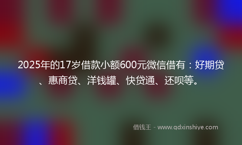 2025年的17岁借款小额600元微信借有：好期贷、惠商贷、洋钱罐、快贷通、还呗等。