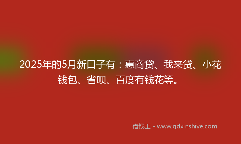 2025年的5月新口子有：惠商贷、我来贷、小花钱包、省呗、百度有钱花等。