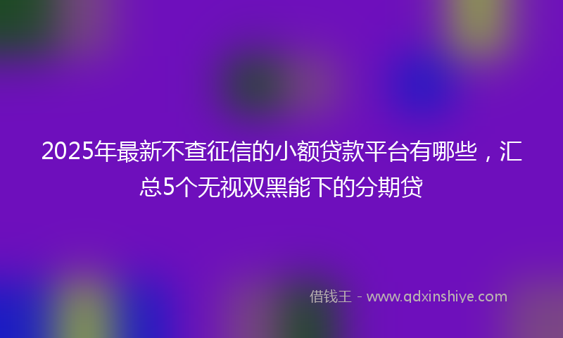 2025年最新不查征信的小额贷款平台有哪些，汇总5个无视双黑能下的分期贷