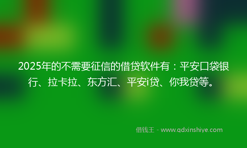 2025年的不需要征信的借贷软件有：平安口袋银行、拉卡拉、东方汇、平安i贷、你我贷等。