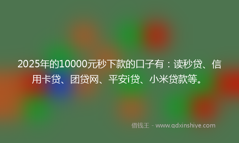 2025年的10000元秒下款的口子有：读秒贷、信用卡贷、团贷网、平安i贷、小米贷款等。