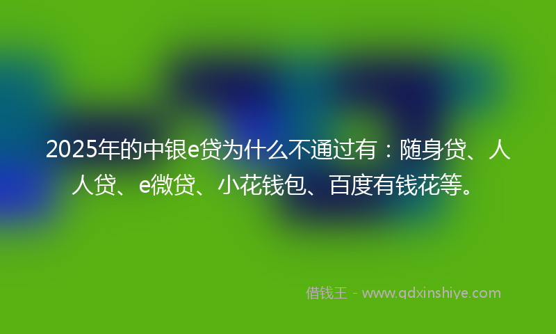2025年的中银e贷为什么不通过有：随身贷、人人贷、e微贷、小花钱包、百度有钱花等。