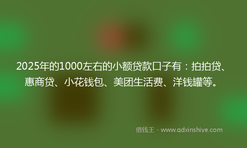2025年的1000左右的小额贷款口子有：拍拍贷、惠商贷、小花钱包、美团生活费、洋钱罐等。
