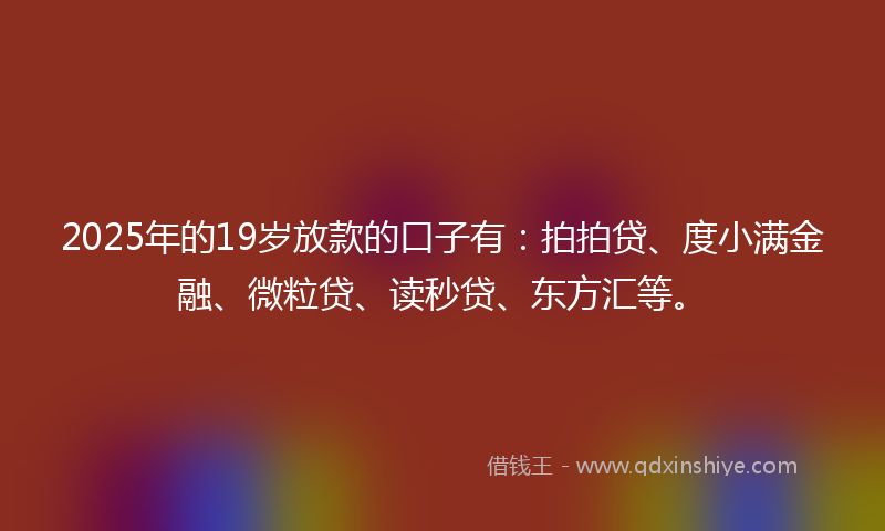 2025年的19岁放款的口子有：拍拍贷、度小满金融、微粒贷、读秒贷、东方汇等。