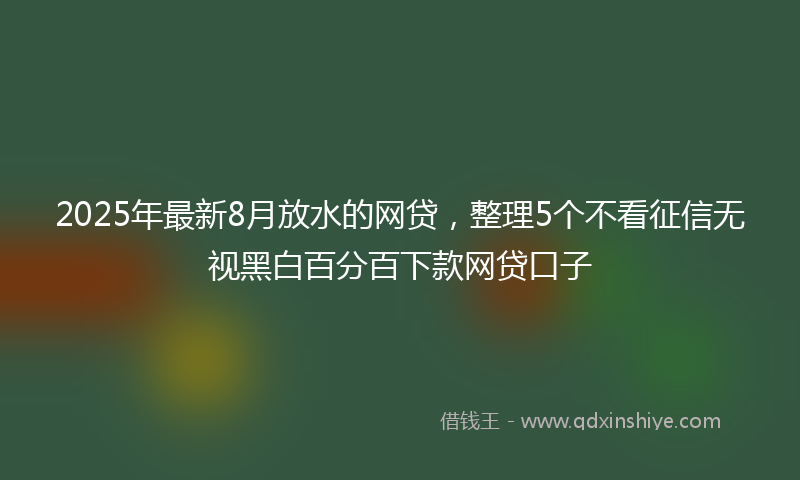 2025年最新8月放水的网贷，整理5个不看征信无视黑白百分百下款网贷口子